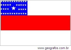 Bandeira do Estado Amazonas Localizado na Região Norte do Brasil