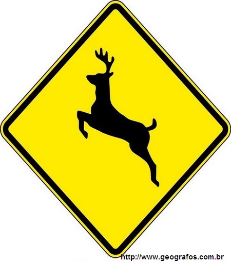 Placa Animais Selvagens