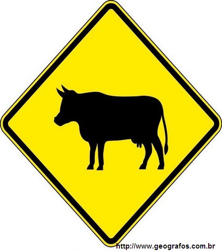 Placa Animais